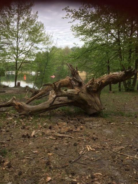Ferienappartements Am See Schorfheide Kültér fotó